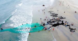 hai van pass, lang co beach, da nang to lang co, half day tour da nang