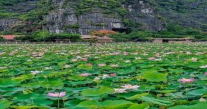ninh binh