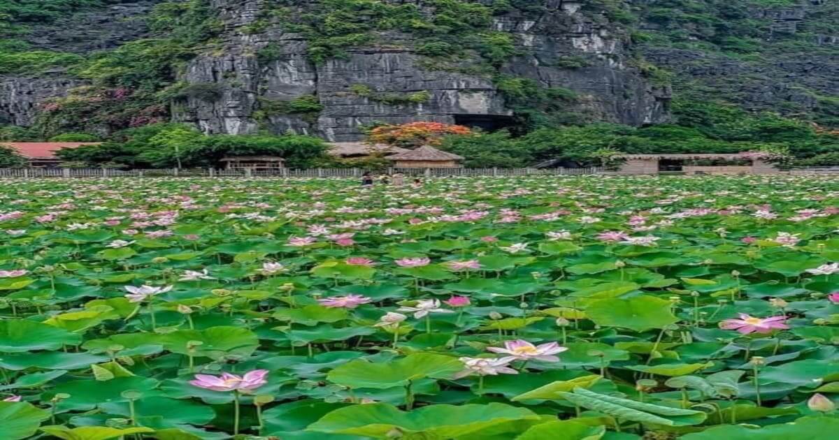 ninh binh
