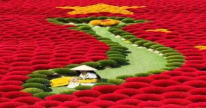 vietnam highlights tour vietnam tour package