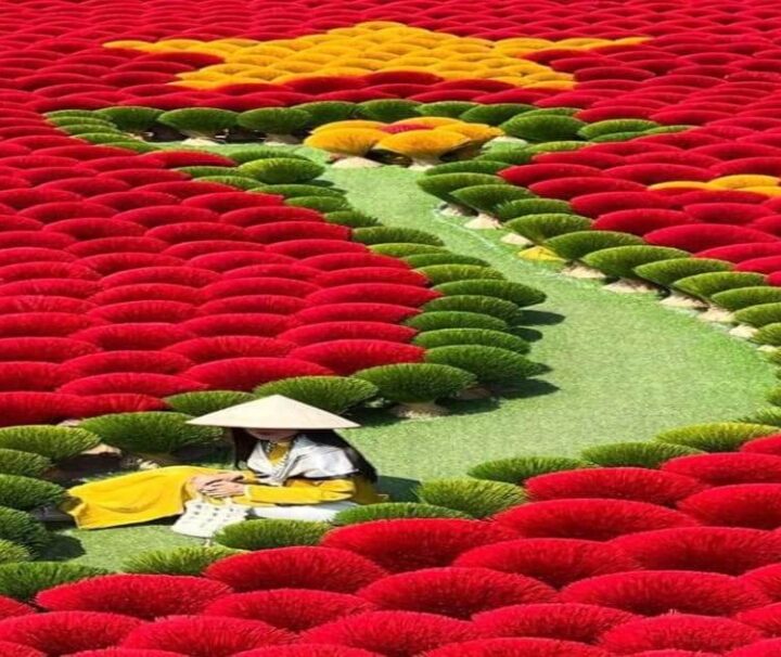 vietnam highlights tour vietnam tour package